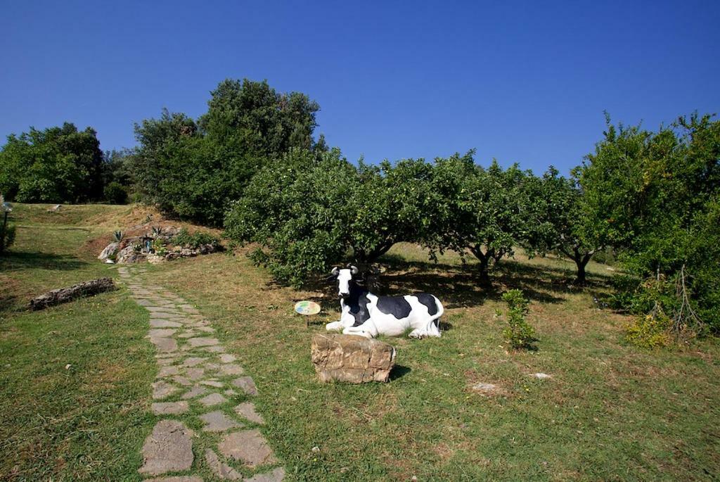 Casa Conti Di Sotto Villa Gavorrano Luaran gambar